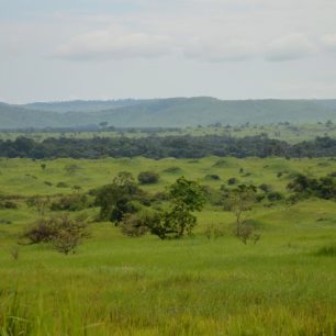 Pohled z pěšiny na sever směrem k CAR a viditelné vyvýšeniny mnoha  termitišť.