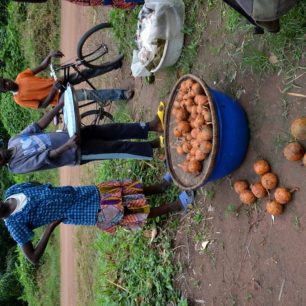 – Při kupování tohoto zvláštního a kyselého pralesního ovoce jsem dal kapsy asi korunu a dostal celý pytlík skvělých plodů.