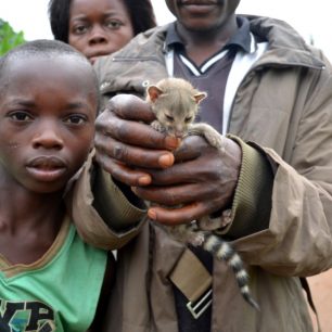 Osiřelé mládě ženetky (matku snědli) mi nabízeli příbuzní lovce jako domácího mazlíčka. Pokušení to bylo velké…