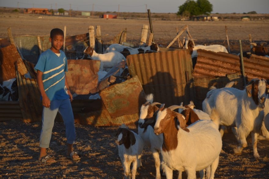 Uživit se snaží každý, Namibie