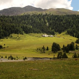 Pastviny ve Švýcarském Národním parku