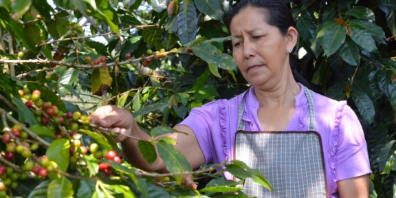 Jak to chodí ve fairtradových družstvech aneb za kávou do Guatemaly a Mexika