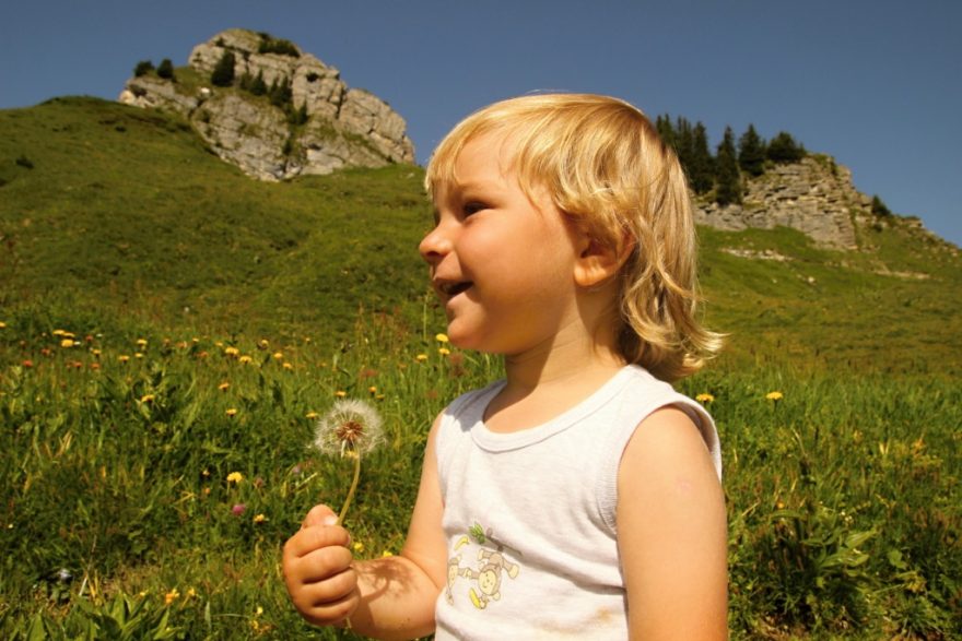 Na louce, Kleine Scheidegg, Jungfrau