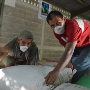 Garantované minimální výkupní ceny a fairtradový sociální příspěvek, dvě velké opory tam