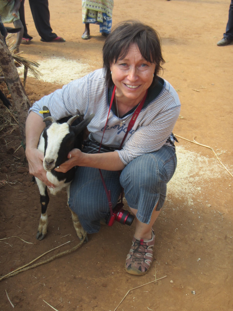 Součástí dobrovolnické práce je i značkování koz