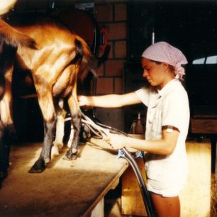Sezona na kozí farmě ve Švýcarsku