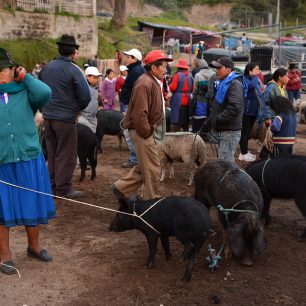Trh v Otavalu, Ekvádor