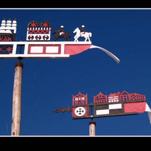 Domovní znaky, Litva