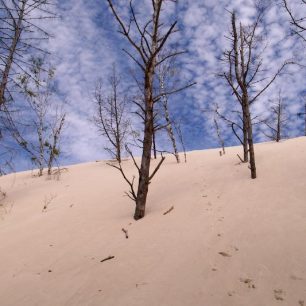 Okraj duny, Slovinsko