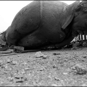 Tbilisi 1990 - Giorgi Tsagareli