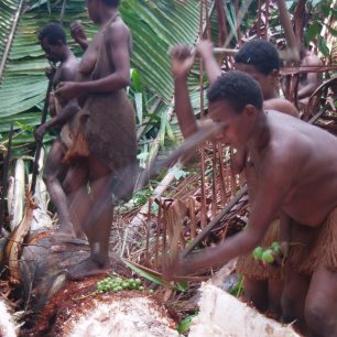 Jeden psychicky najnáročnejší film z bažín Novej Guinei pod názvom  Pururambo.