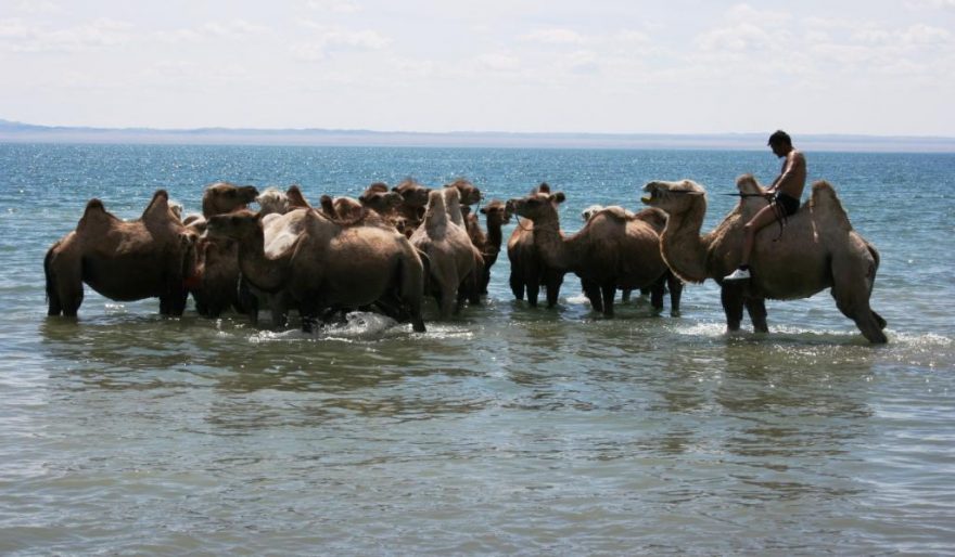 Púšťami Mongolska