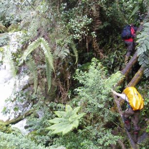 Tazky pochod k najvyssej hore Australie a Oceanie - ku Carstensz Pyramid