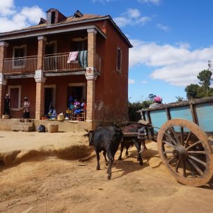 Ke slavnému filmu má realita skutečně daleko, Madagaskar