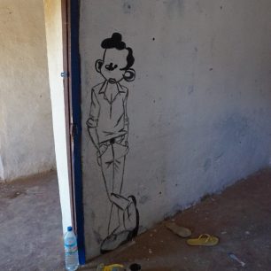 Výmalba v knihovně, Madagaskar