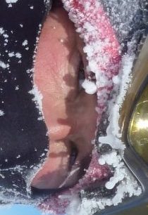 Pavol Barabáš na Južnom póle