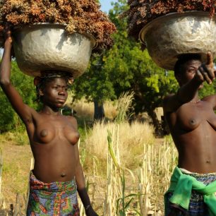 Místní lidé ctí přírodu, Benin