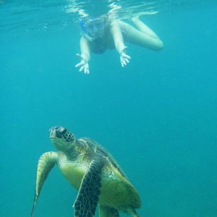 Šnorchlování na Havaji