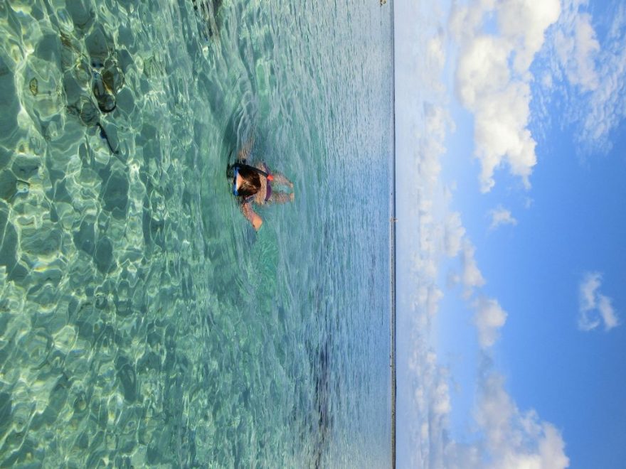 Ideální místo na šnorchlování, Rarotonga