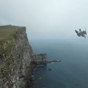 Výhled z útesu_Bjargtangar (nejzápadnější bod Evropy)