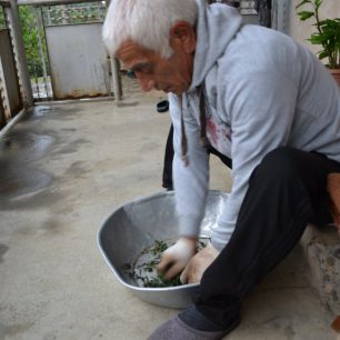 Lekce od mistra Ramize