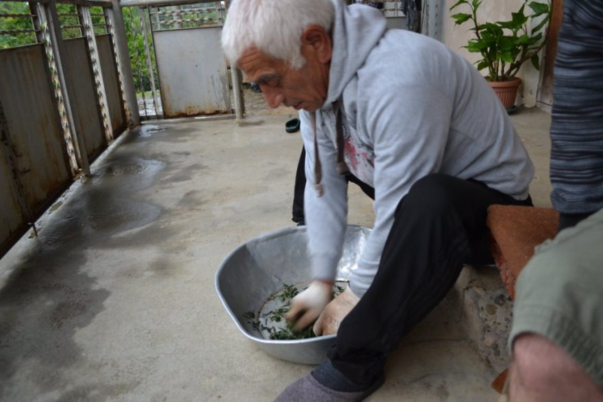 Lekce od mistra Ramize