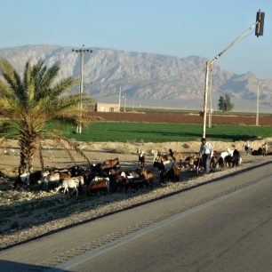 U silnice bylo místy rušno, Írán
