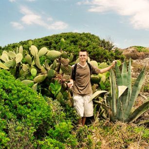 procházka vegetací