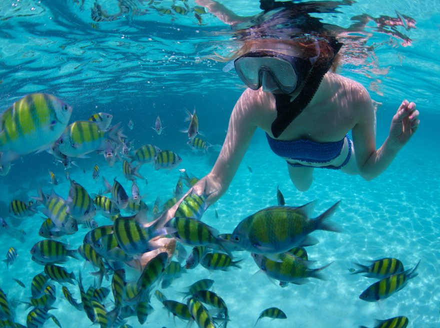 Potápění a šnorchlování vás ve Francouzské Polynésii nadchne
