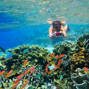 Potápění u korálových atolů