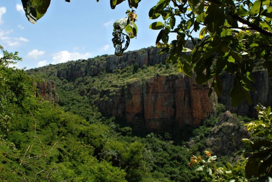 Stěny Blyde river Canyonu