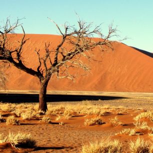 nejstarší poušť světa Namib