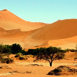 barevné duny v poušti Namib