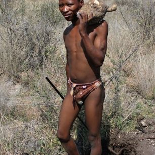 Člen kmene san, křovák