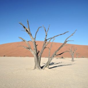 Sossusvlei v poušti Namib