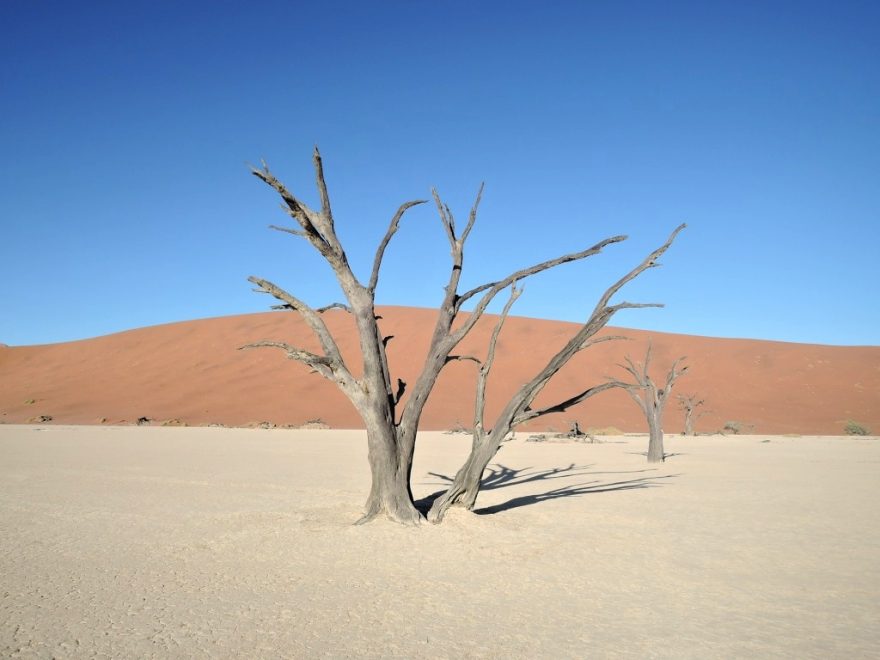Sossusvlei v poušti Namib
