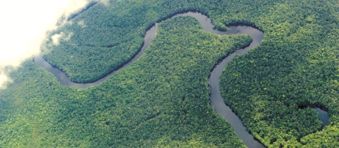 Amazonka z ptačí perspektivy