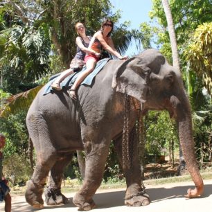 Srí Lanka nadchne začínající cestovatele i ostřílené mazáky