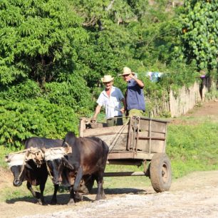 Tradiční dopravní prostředek