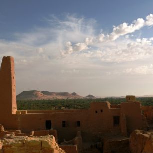 Místní palmy jsou zdrojem těch nejlepších datlí