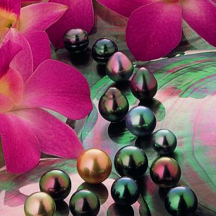 Tahitské perly patří k nějvzácnějším