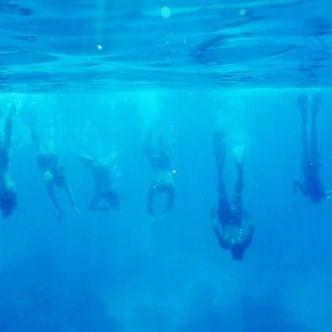 Perly rostoz ve škebli rodu Pinctada