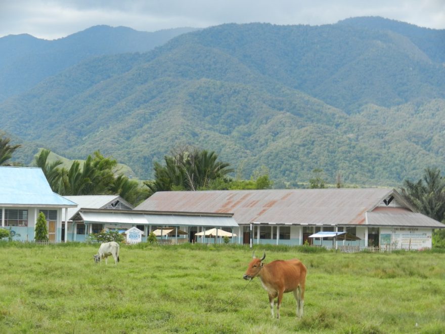Krajina centrálního Sulawesi