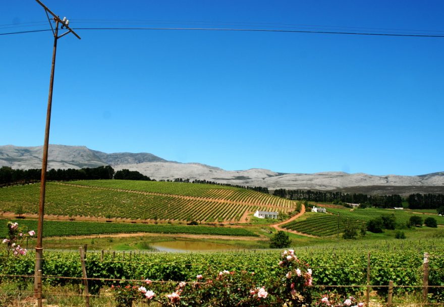 Vnitrozemí Overbergu