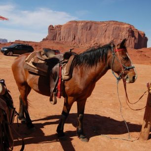 U koní v Monument Valley