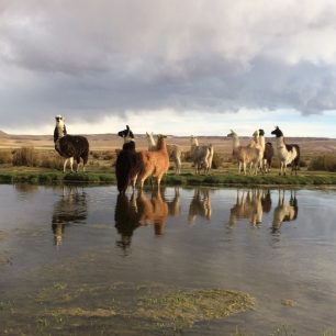 Samá lama, ale horší se počasí, bude liják