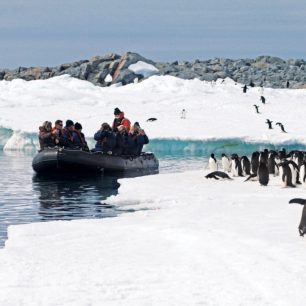 Pozorování místní fauny z bezprostřední blízkosti - v tomto případě tučňáků kroužkových (Adélie penguin, Pygoscelis adeliae)