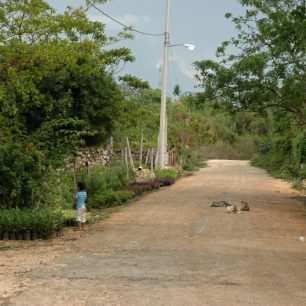 Cesty na Yucatánu