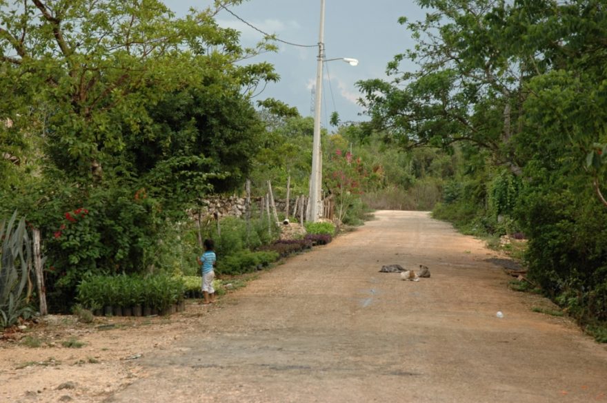 Cesty na Yucatánu