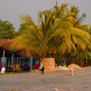 Nedaleko Playa del Carmen